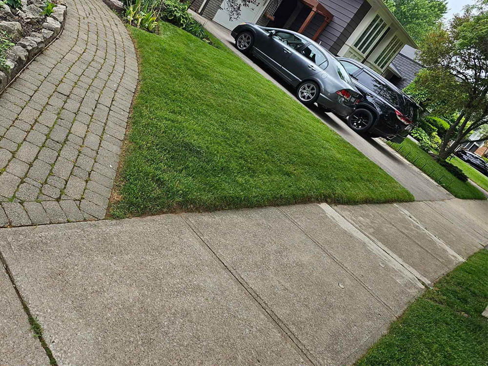 Garden-Maintenance-canada