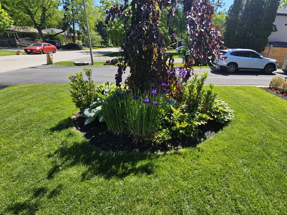 Garden-Maintenance-in-canada