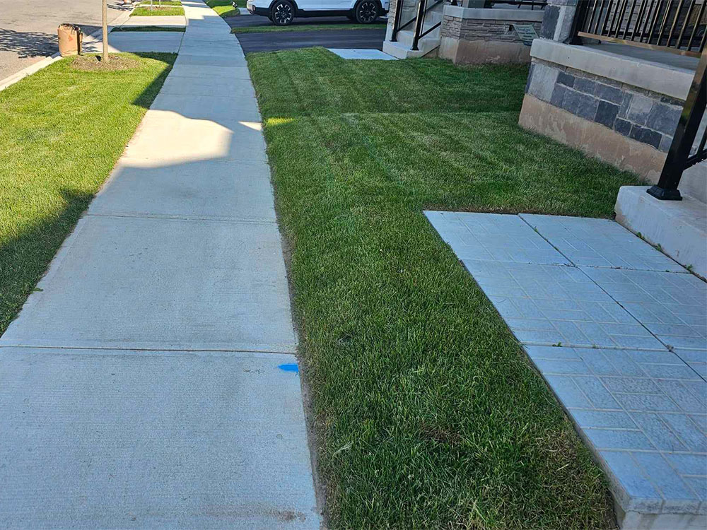 Gardening-Services-in-canada