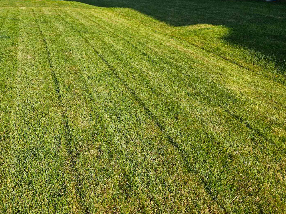 Landscaping-in-canada