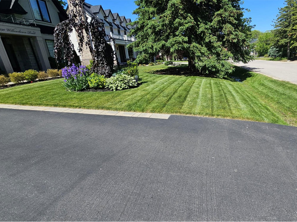 Lawn-Aeration-and-Core-1Aeration