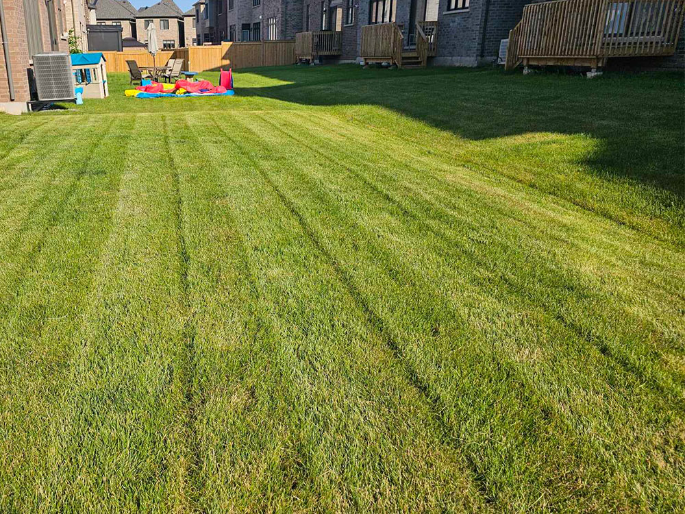 Lawn-Mowing-in-canada
